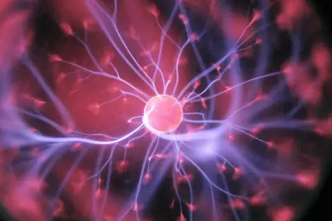 New Study Reveals Textbooks May Have Misrepresented Brain Structure for Centuries