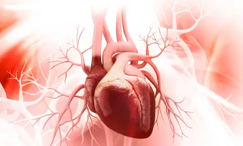 Don’t Feed the Fad – All Healthy Diets Can Help Your Heart