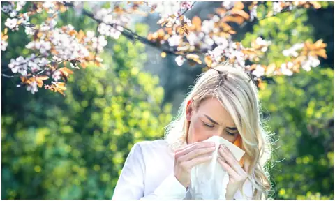 Easy Home Treatments for Hay Fever