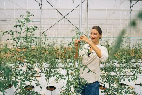 Why Growing Your Own Food Is One of the Smartest Decisions You Can Make